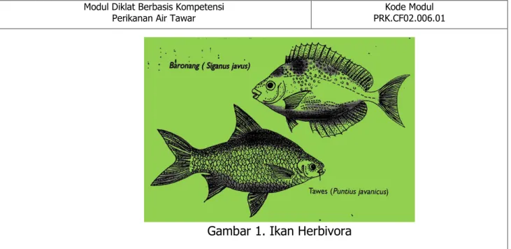 Gambar 1. Ikan Herbivora 