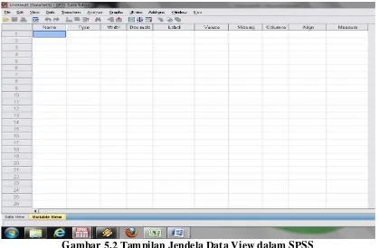 Gambar 5.2 Tampilan Jendela Data View dalam SPSS 
