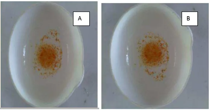 Gambar 4.  Hasil pemeriksaan kualitatif natrium benzoat dengan uji ferri klorida. 