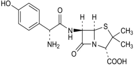 Gambar 2.1Struktur amoksisilin(Ditjen POM, 2014) 