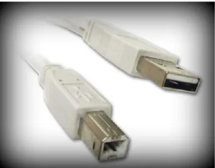 Gambar 2.3 Tampilan Kabel USB (Universal Serial Bus) 