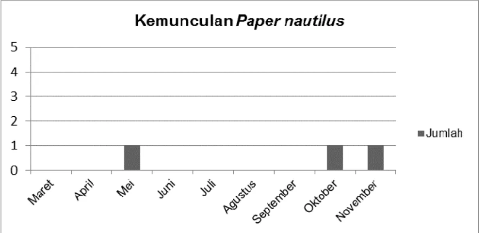 Gambar 2. Jumlah kemunculan Paper nautilus dari bulan Maret hingga November 2016  Hasil pengukuran dan pengamatan Paper nautilus dapat dilihat pada tabel 1 dibawah 