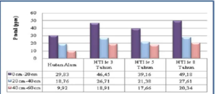 Gambar 11.  P total tanah di hutan rawa gambut dan HTI pada  berbagai lama perubahan penggunaan lahan