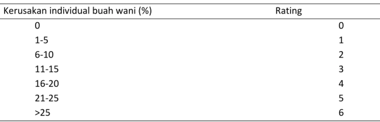 Tabel 1.  Peresentase kerusakan dan rating individu buah mangga. 