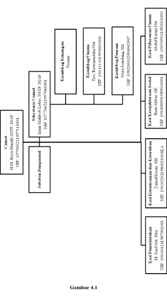 Gambar 4.1  Struktur Organisasi Pemerintah Kecamatan Medan Helvetia 