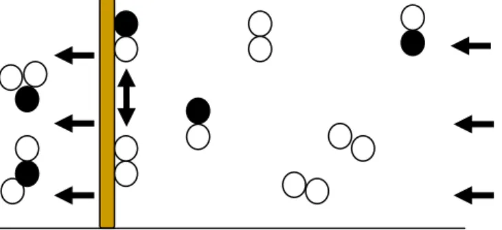Gambar 2.4 Proses reaksi oksidasi CO menurut Langmuir-Hinshelwood. 