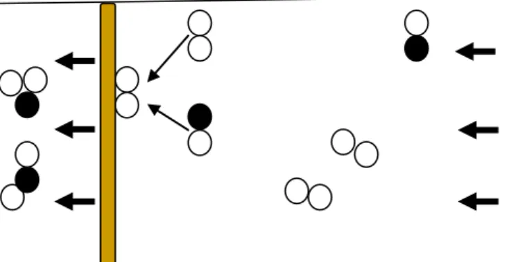 Gambar 2.5 Skema proses reaksi oksidasi CO menurut Eley-Rideal. 