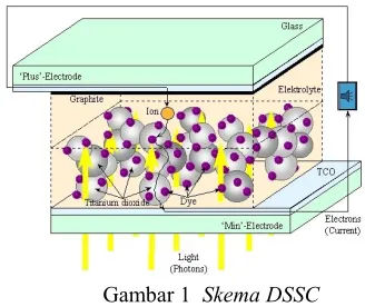Gambar 1  Skema DSSC 