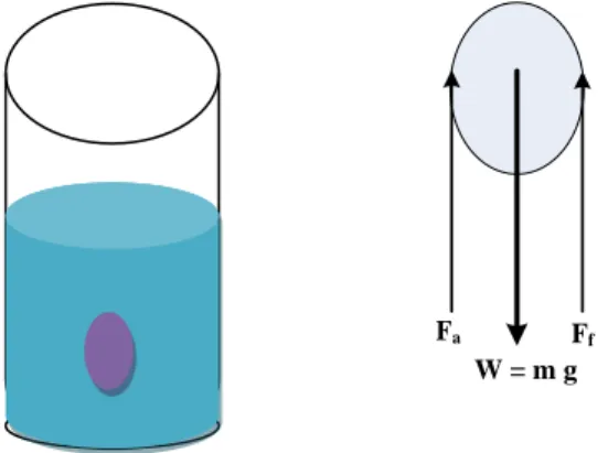 Gambar  1. 17 (a) benda berbentuk bola jatuh bebas dalam fluida kental   1.17  (b)  diagram  gaya-gaya  yang  bekrja  pada  benda;  w  adalah  gaya  berat  benda,  Fa  adalah  gaya  ke  atas  oleh  fluida,  dan  F f   adalah  gaya   gesekan fluida