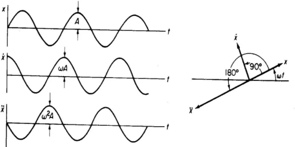 Gambar 4 Fase kecepatan dan percepatan pada gerakan harmonik 