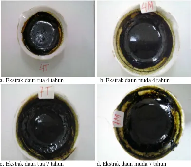 Tabel 3. Hasil Ekstrak Metanol Simplisia Daun Gaharu                            (Aquilaria malaccensis Lamk.) 