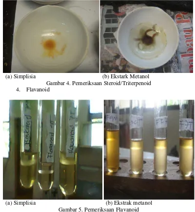 Gambar 4. Pemeriksaan Steroid/Triterpenoid 