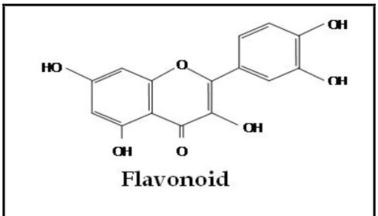 Gambar 5. Struktur Kimia Flavonoid (Hardianzah, R. 2009)