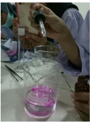Gambar 11.  Pemberian tetesan Indikator PP