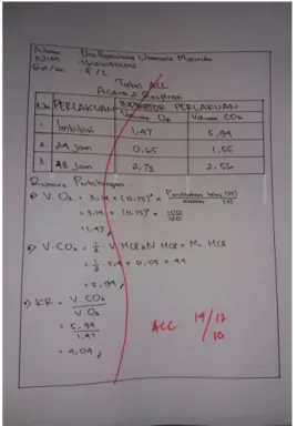 Gambar 16. Tabel ACC Lembar Kerja 