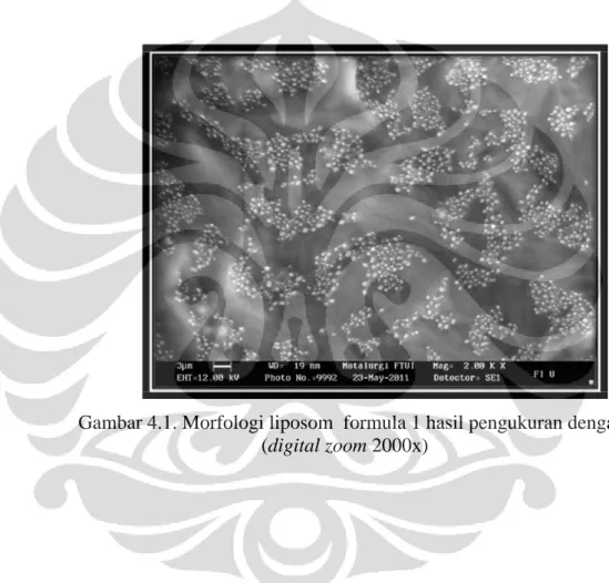 Gambar 4.1. Morfologi liposom  formula 1 hasil pengukuran dengan SEM  (digital zoom 2000x) 