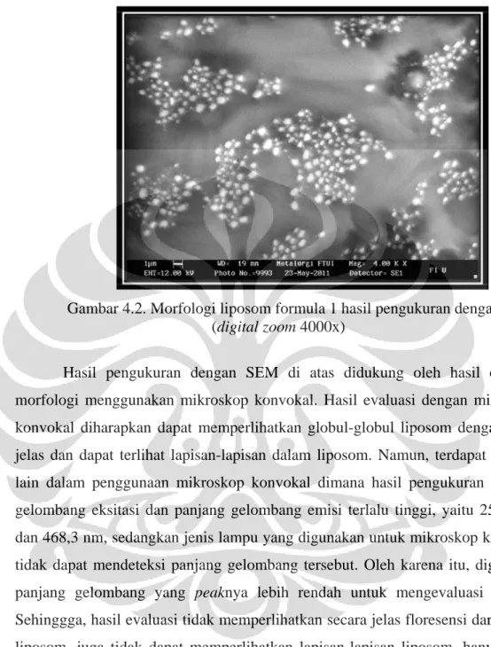 Gambar 4.2. Morfologi liposom formula 1 hasil pengukuran dengan SEM  (digital zoom 4000x) 