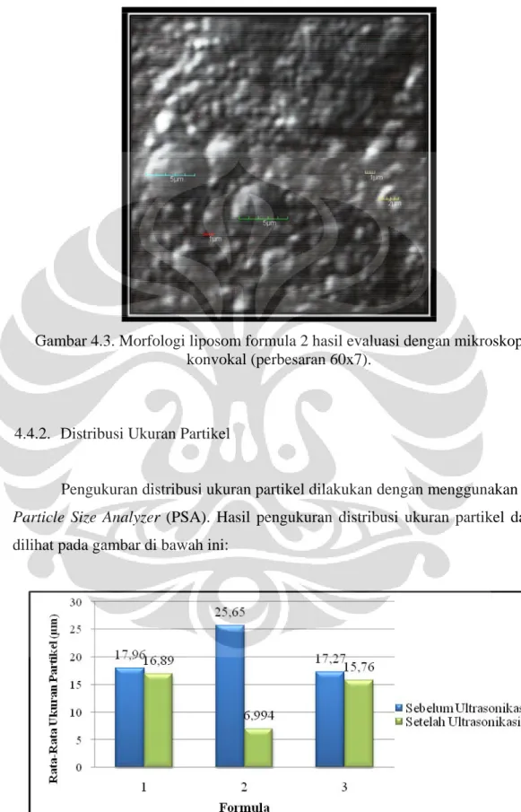 Gambar 4.3. Morfologi liposom formula 2 hasil evaluasi dengan mikroskop  konvokal (perbesaran 60x7)