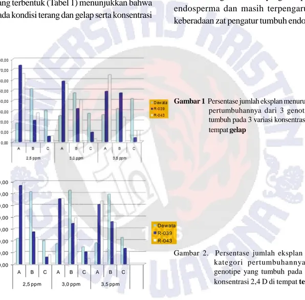 Gambar 1  Persentase jumlah eksplan menurut kategori pertumbuhannya  dari  3  genotipe  yang tumbuh pada 3 variasi konsentrasi 2,4 D di tempat gelap 0,0010,0020,0030,0040,0050,0060,0070,00 A B C A B C A B C 2,5 ppm 3,0 ppm 3,5 ppm DewataR-039R-043