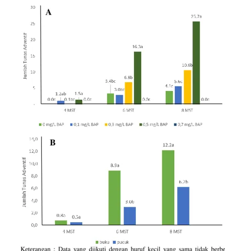 Gambar 8 Rata-rata jumlah tunas adventif klon tanaman nilam hasil iradiasi sinar  gamma 30 gray pada (A) konsentrasi BAP yang berbeda dan (B) jenis  eksplan yang berbeda 