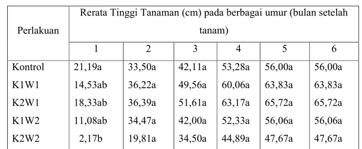 Tabel 1.  Rerata  tinggi tanaman jahe putih besar hasil perlakuan kolkisin dan kontrol (cm)