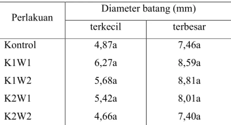 Tabel 3.  Rerata diameter terbesar dan terkecil batang tanaman jahe putih besar umur 6 bulan  hasil perlakuan kolkisin dan kontrol