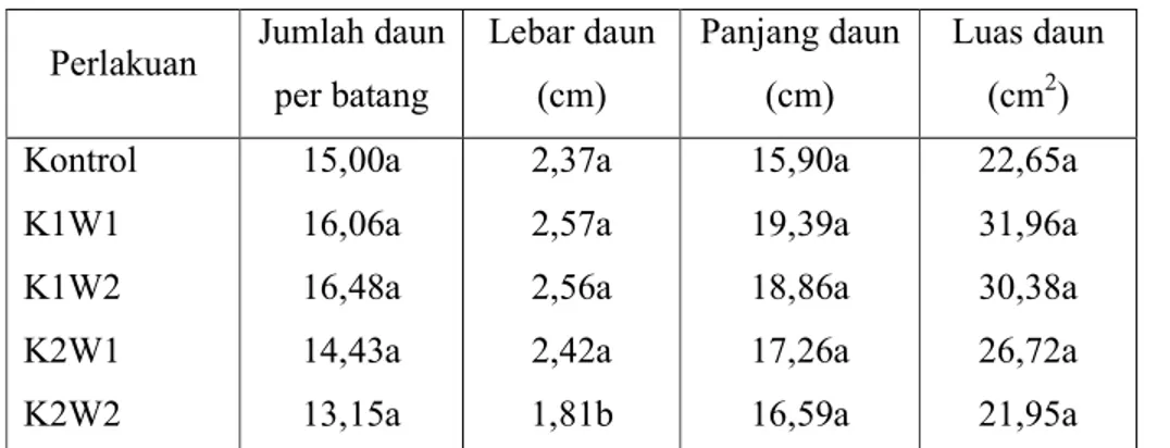 Tabel 4. Rerata jumlah, lebar, panjang dan luas  daun tanaman jahe putih besar umur 6 bulan  hasil perlakuan kolkisin dan kontrol