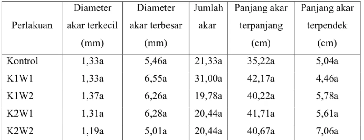 Tabel 5. Rerata diameter, panjang, dan jumlah akar tanaman jahe putih besar umur 6 bulan  hasil perlakuan kolkisin dan kontrol