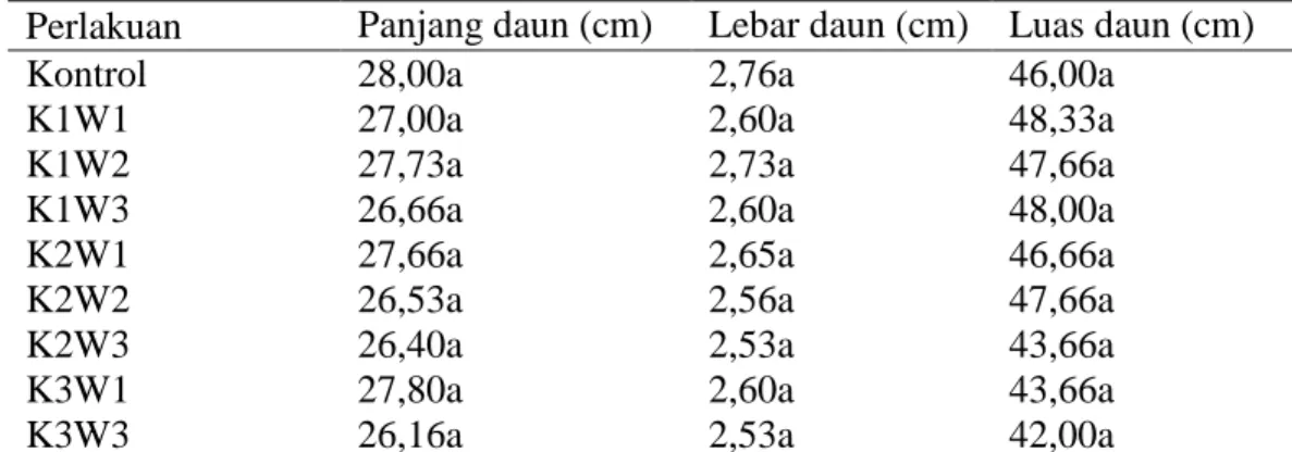 Tabel 4.   Rerata panjang, lebar dan luas daun jahe merah umur 6 bulan hasil induksi kolkisin  Perlakuan  Panjang daun (cm)  Lebar daun (cm)  Luas daun (cm) 