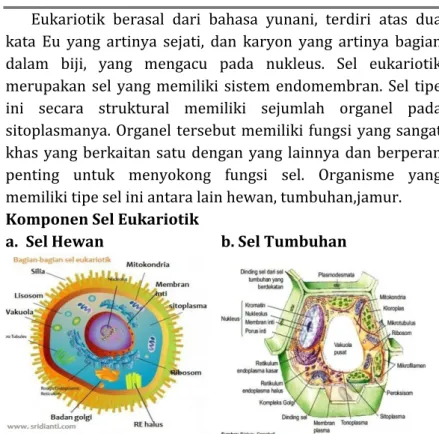 Gambar 3.12 Bagian sel eukariotik hewan dan tumbuhan  http://images.tutorvista.com/cms/image101/eukaryotic.jpg)13/11/21 23