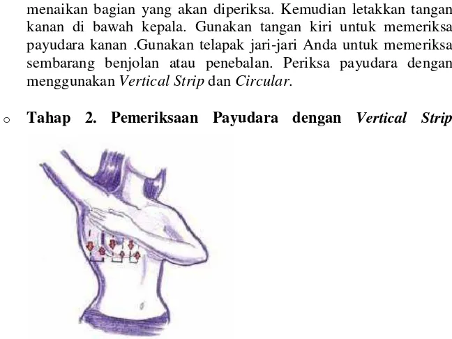 Gambar 2.7 Cara pemeriksaan payudara dengan Vertical strip Sumber : medicastore, 2002