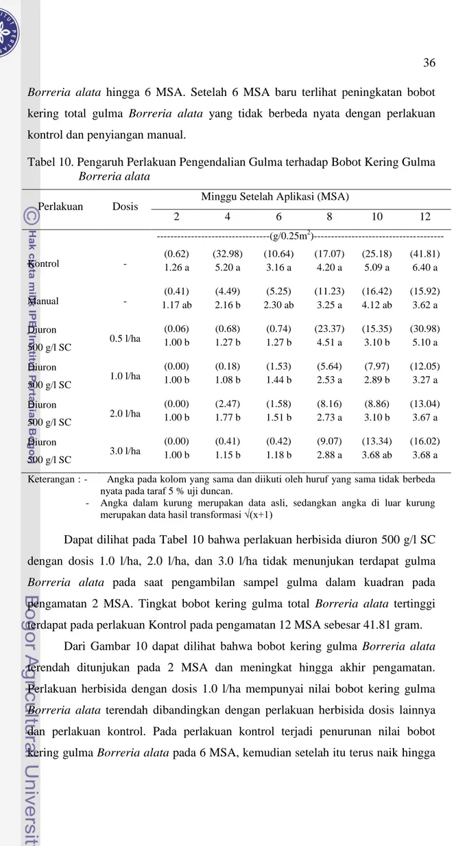 Tabel 10. Pengaruh Perlakuan Pengendalian Gulma terhadap Bobot Kering Gulma  Borreria alata 