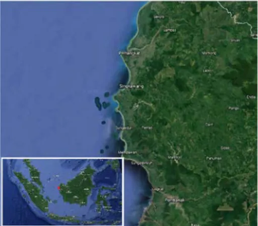 Gambar 3. Domain area studi dengan luas 200 km x 200 km   METODOLOGI 