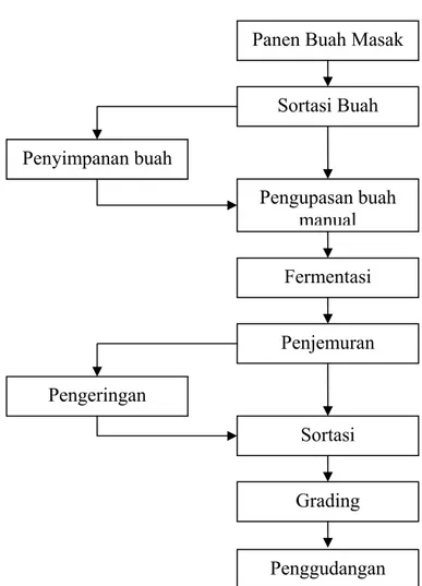Gambar 1. Tahapan pengolahan kakao primer  (Sumber: Widyotomo, et al., 2004)  Penjemuran 