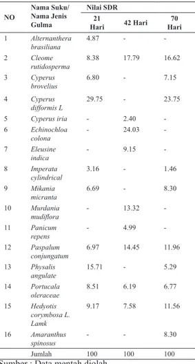 Tabel 4. Nilai SDR Gulma pada 3 Kelompok Umur  Berbeda NO Nama Suku/Nama Jenis  Gulma Nilai SDR  Hari 21   42 Hari 70  Hari 1 Alternanthera  brasiliana 4.87 -  -2 Cleome  rutidosperma 8.38 17.79 16.62 3 Cyperus  brovelius 6.80 - 7.15 4 Cyperus  difformis L