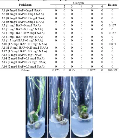 Tabel 5. Jumlah daun (helai) dalam medium MS + kombinasi BAP dan NAA dari eksplan nodus 6 minggu setelah pengkulturan  