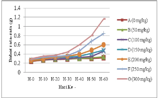 Gambar 1. Grafik rata-rata pertambahan bobot benih ikan peres Osteochillus vittatus selama 60  hari masa penelitian 