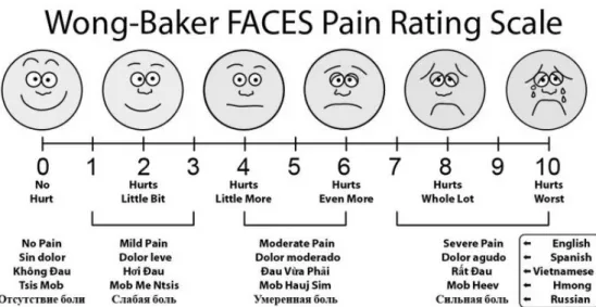 Gambar 2.2. Face Pain Rating Scale 