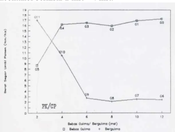 Gambar 1. Grafik periode kritis tanaman bawang merah  yang disemprot Triacontanol. 