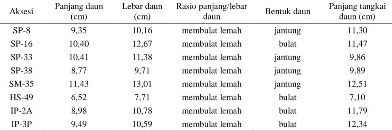 Tabel 4. Rata-rata panjang dan lebar daun, rasio panjang/lebar daun, bentuk daun, panjang tangkai  daun 