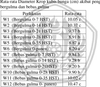 Tabel 10. Rata-rata Diameter Krop kubis bunga (cm) akibat pengaruh perlakuan       bergulma dan bebas gulma  