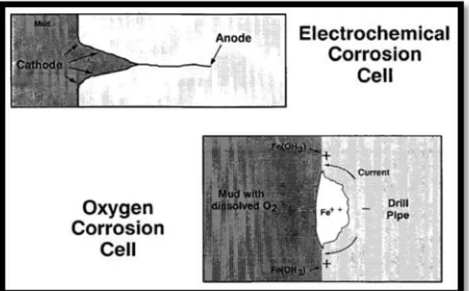 Gambar 2. 1 Electrochemical Corrosion Cell 