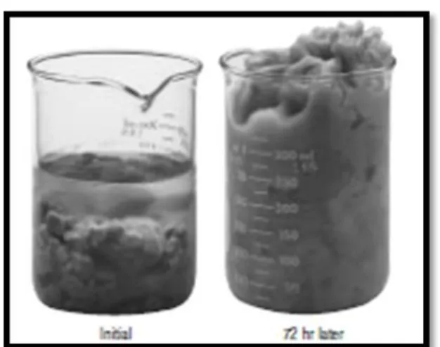 Gambar 3. 3 Hydrasi bentonite pada air asin  Salt Water Mud 