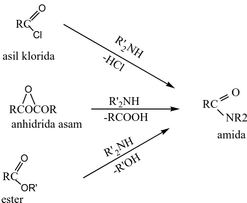 Gambar 2.2. Reaksi Umum Sintesis Pembentukan Amida 