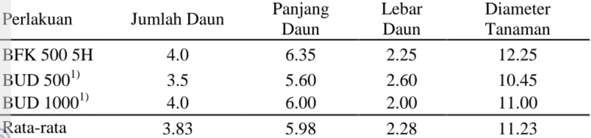 Tabel  5  Pengaruh  perlakuan  kolkisin  pada  anggrek  Phal.  amabilis  yang  teridentifikasi tetraploid bulan ke-enam setelah aklimatisasi