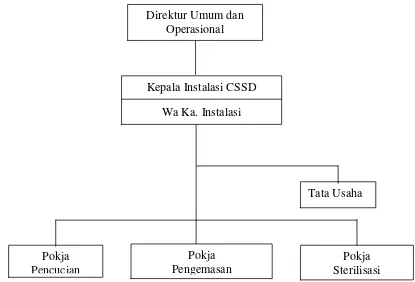 Gambar 3.2. Struktur organisasi instalasi                      central sterilized supply department  (CSSD) RSUP H