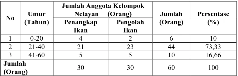 Tabel 8. Distribusi Anggota Kelompok Nelayan di Kelurahan Nelayan Indah,    Kecamatan Medan Labuhan Berdasarkan Kelompok Umur Tahun 