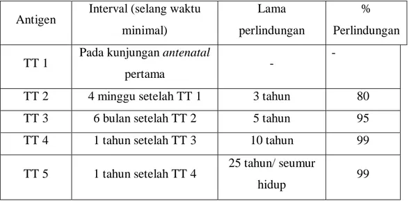 Tabel 2.1  Imunisasi TT 