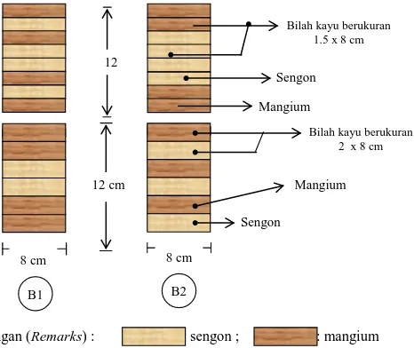Gambar 2. Bentuk dan komposisi kayu lamina campuran  mangium-sengon 
