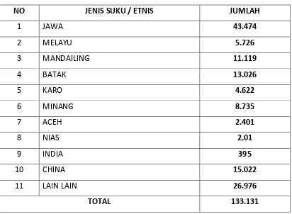 Tabel 4. Data Penduduk Di Kecamatan Medan Helvetia berdasarkan Suku / 